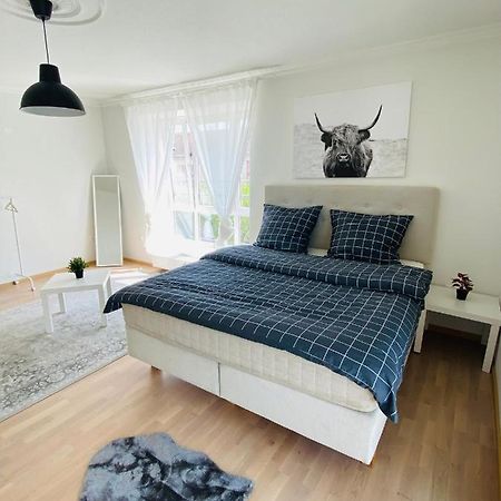 Luxury 3-Room Apartment Drezda Kültér fotó