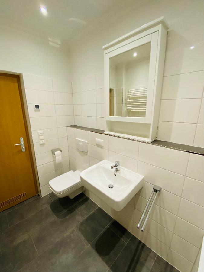 Luxury 3-Room Apartment Drezda Kültér fotó